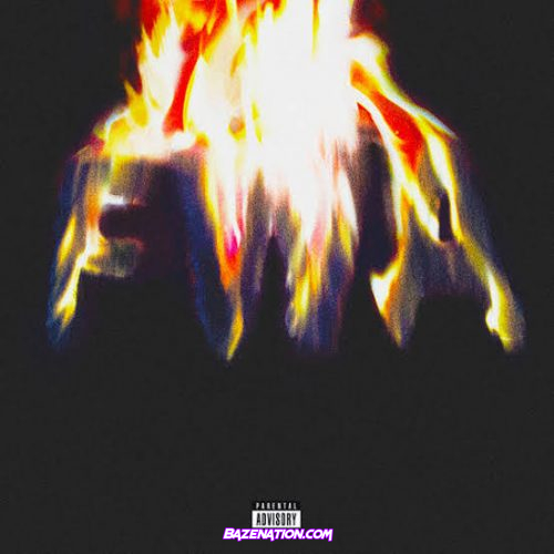 Lil Wayne – Pick Up Your Heart Mp3 Download