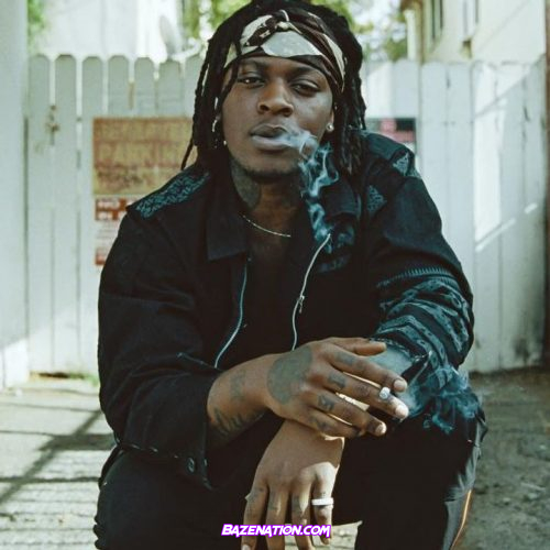 UnoTheActivist - Fell In Love With A Tat Mp3 Download