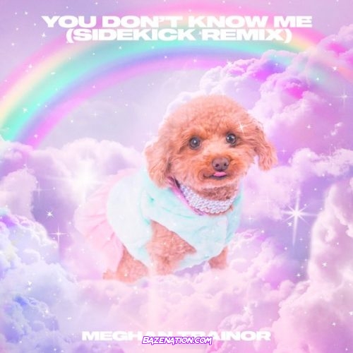 Meghan Trainor & Sidekick - You Don’t Know Me (Sidekick Remix) Mp3 Download