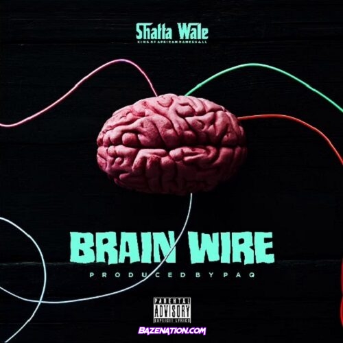 Shatta Wale – Brain Wire (Freestyle) Mp3 Download