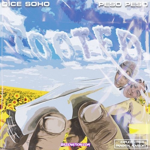 Dice SoHo & Peso Peso - Zooted Mp3 Download