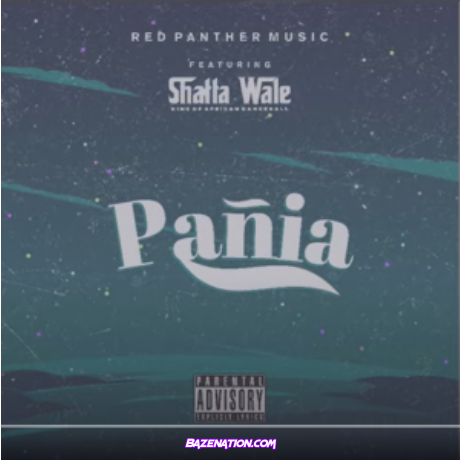 Shatta Wale – Pania Mp3 Download