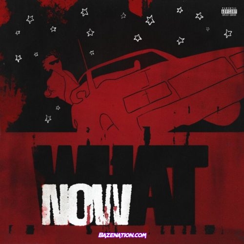 DC the Don - WHAT NOW? Mp3 Download