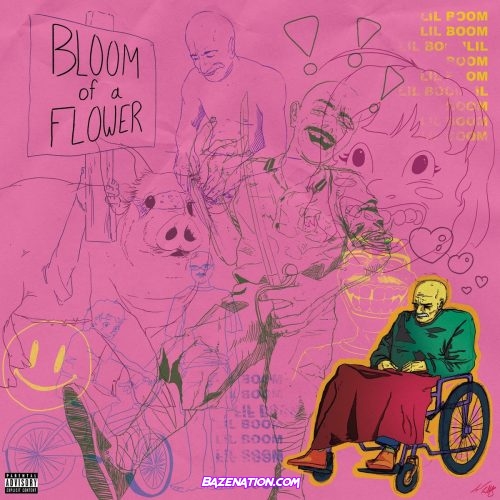 Lil Boom - Bloom of A Flower Mp3 Download