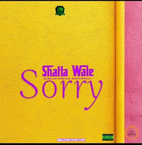 Shatta Wale – Sorry Mp3 Download