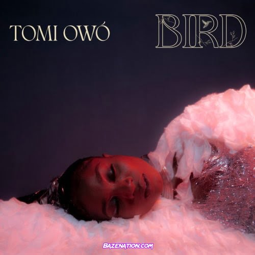 Tomi Owó – Bird Mp3 Download