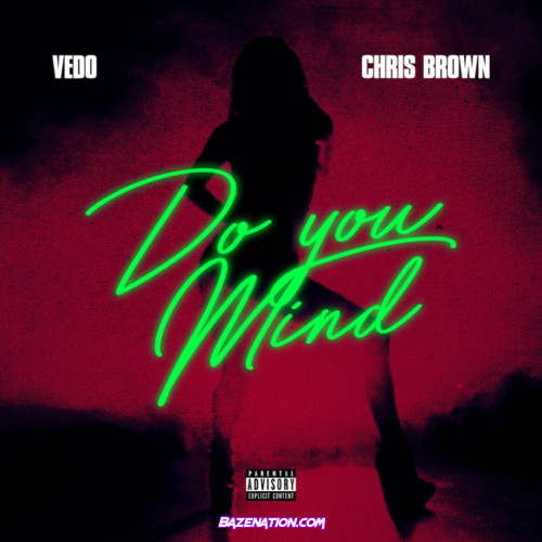 Vedo – Do You Mind (feat. Chris Brown) Mp3 Download