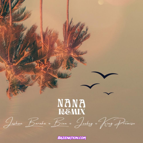 Joshua Baraka, King Promise & Bien - NANA (Remix) feat. Joeboy