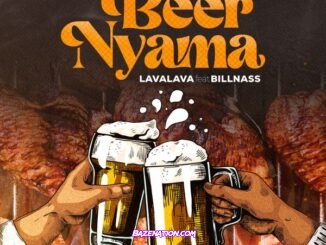 Lava Lava - Beer Nyama (feat. Billnass)