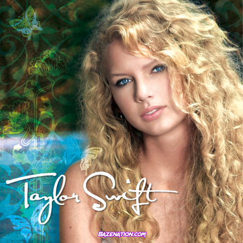 Taylor Swift - Our Song