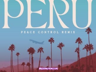 Fireboy DML - Peru (Peace Control Remix) (feat. Peace Control)